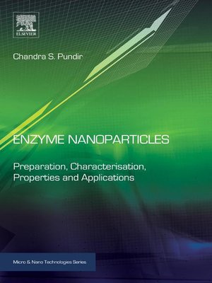 cover image of Enzyme Nanoparticles